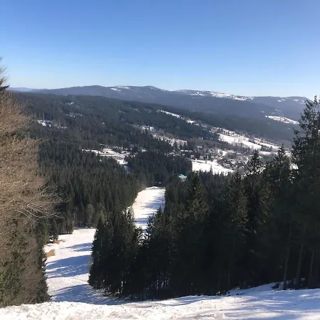 Javor - Rezidence & Wellness Železná Ruda