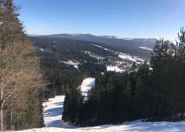 Javor - Rezidence & Wellness Železná Ruda