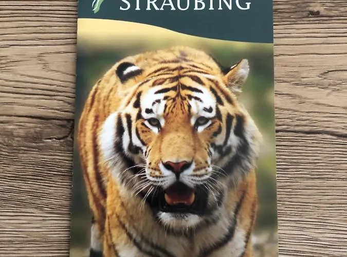 Javor - Rezidence & Wellness *